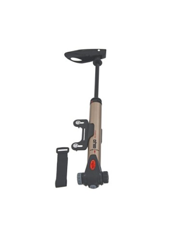 2 Stage Telescope Mini Pump.